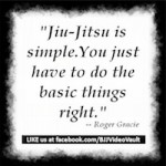 BJJ Basics